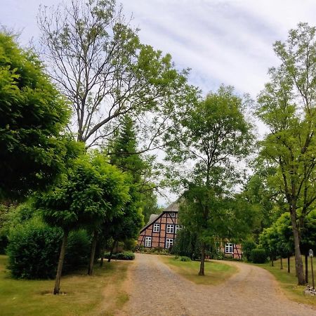 Chalet Forsthof Everstorf - Kleine Wohnung グレーヴェスミューレン エクステリア 写真