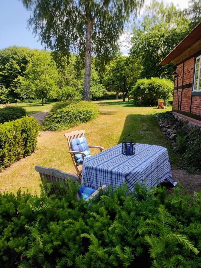 Chalet Forsthof Everstorf - Kleine Wohnung グレーヴェスミューレン エクステリア 写真